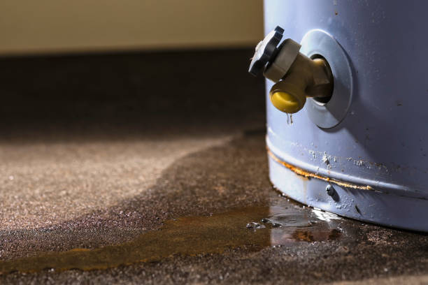 Best Sewage cleanup and water damage restoration  in Roanoke Rapids, NC