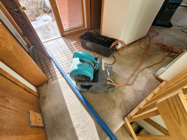 Best Ceiling water damage repair  in Roanoke Rapids, NC
