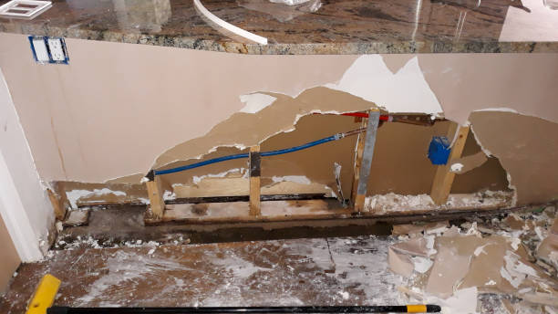 Best Flooded house restoration  in Roanoke Rapids, NC