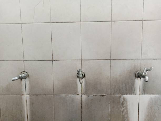 Best Local water damage restoration  in Roanoke Rapids, NC