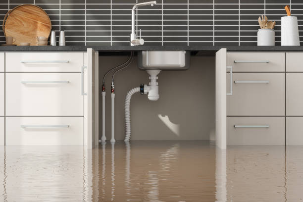 Best Water damage restoration insurance claims  in Roanoke Rapids, NC