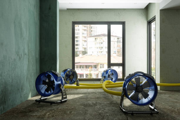 Best Ceiling water damage repair  in Roanoke Rapids, NC